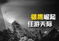 拥有振翅高飞的羽翼，飞在那无边无垠的天宇