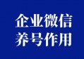 企业微信养号的三大作用，看看你知道吗？